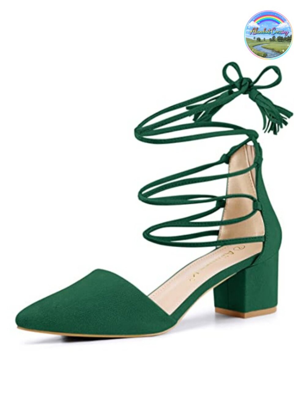 Allegra K Women's Pointed Toe Block Heels Lace Up Pumps - Faux Suede, Ankle